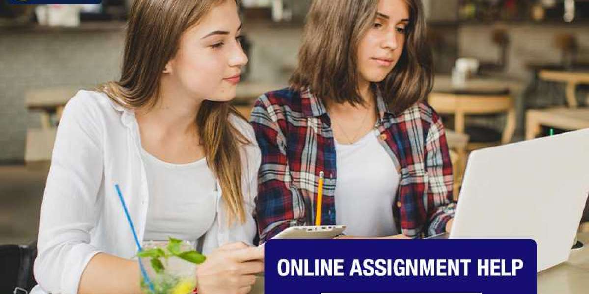 Comprehensive assignment help services from top experts in the industry