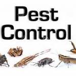 premium pestcontrol Profile Picture