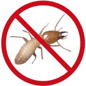 Termite Treatment Doncaster, Control & Inspection - Pest Control Doncaster