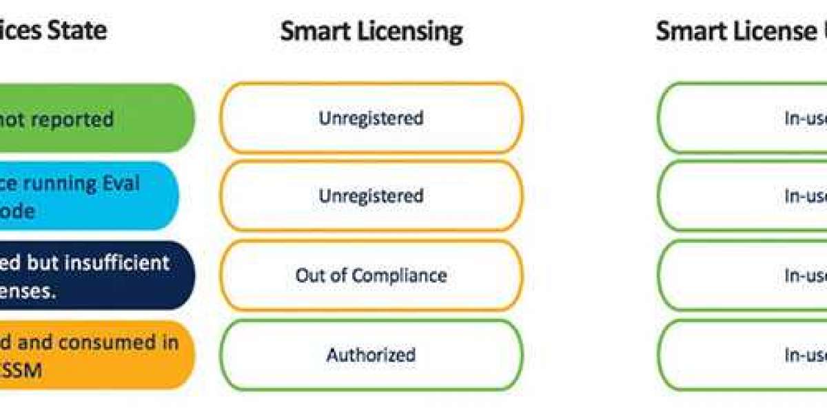 What is Smart License Using Policy?