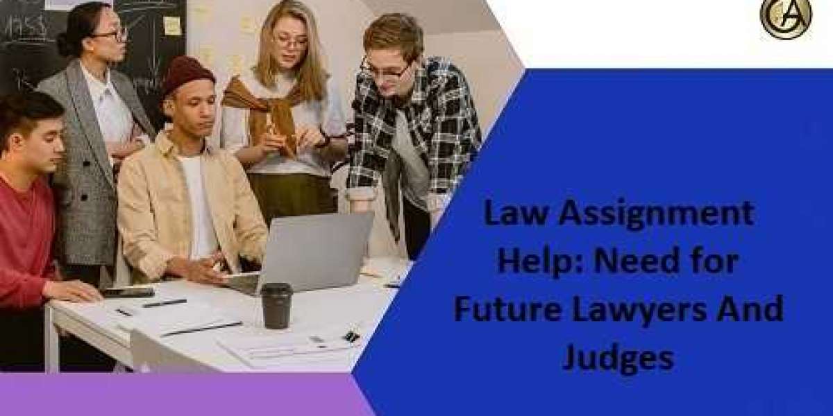 Law Assignment Help: Need for Future Lawyers And Judges