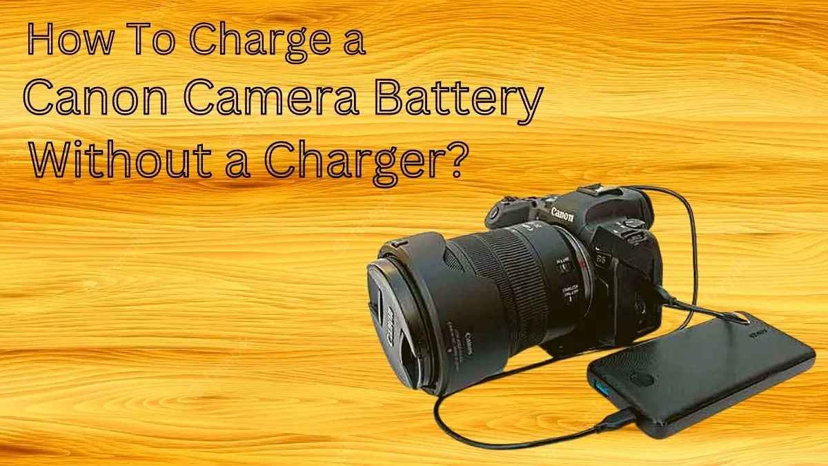 How To Charge a Canon Camera Battery Without a Charger