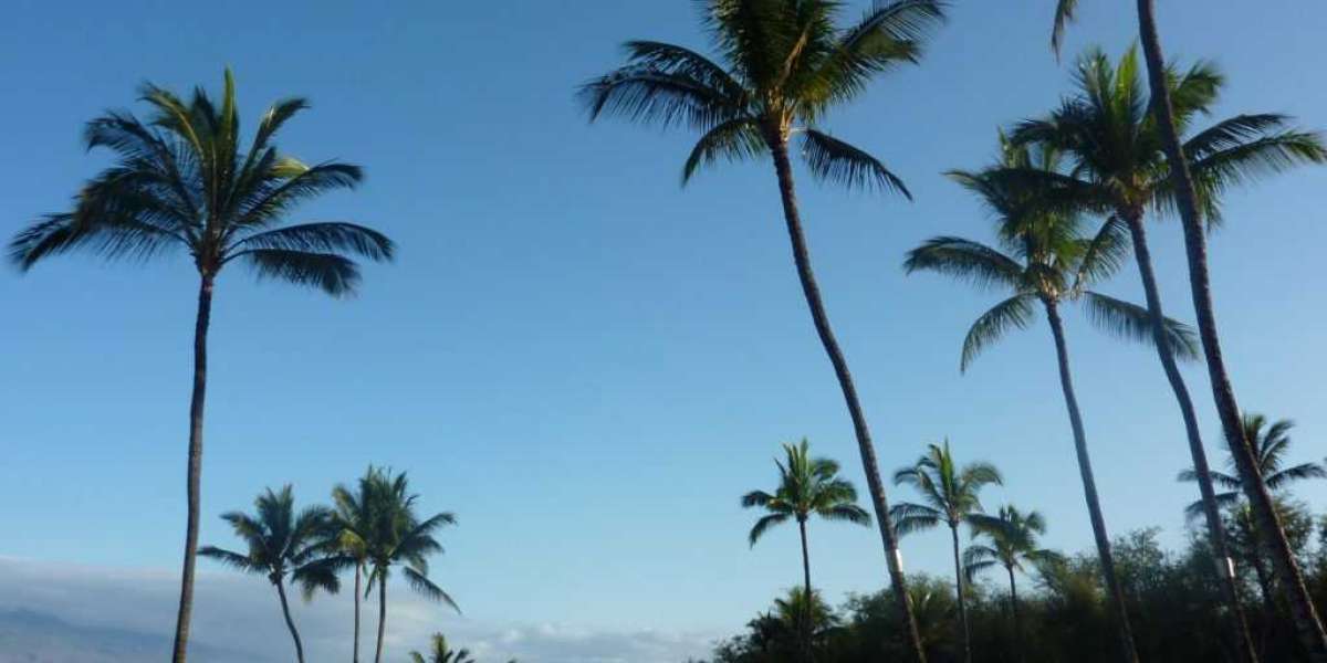 Most popular hotel resorts in Hawaii