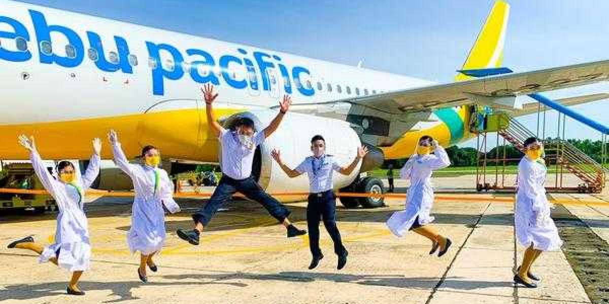 How Can I Talk To A Live Agent in Cebu Pacific?
