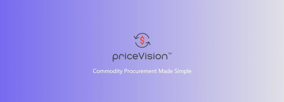 Price Vision Cover Image