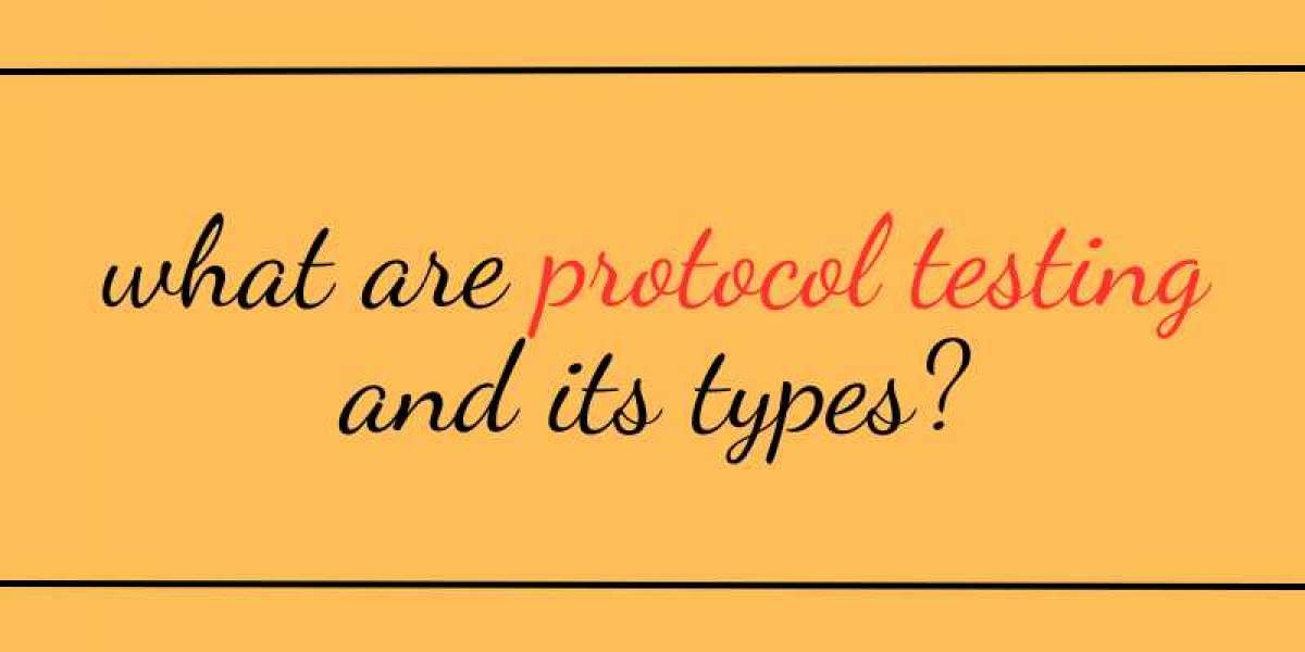 What are protocol testing and its types?