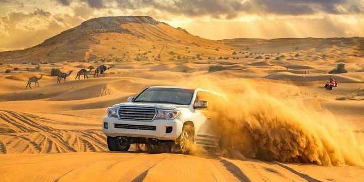 Enjoy Desert Safari Dubai with Pick and Drop