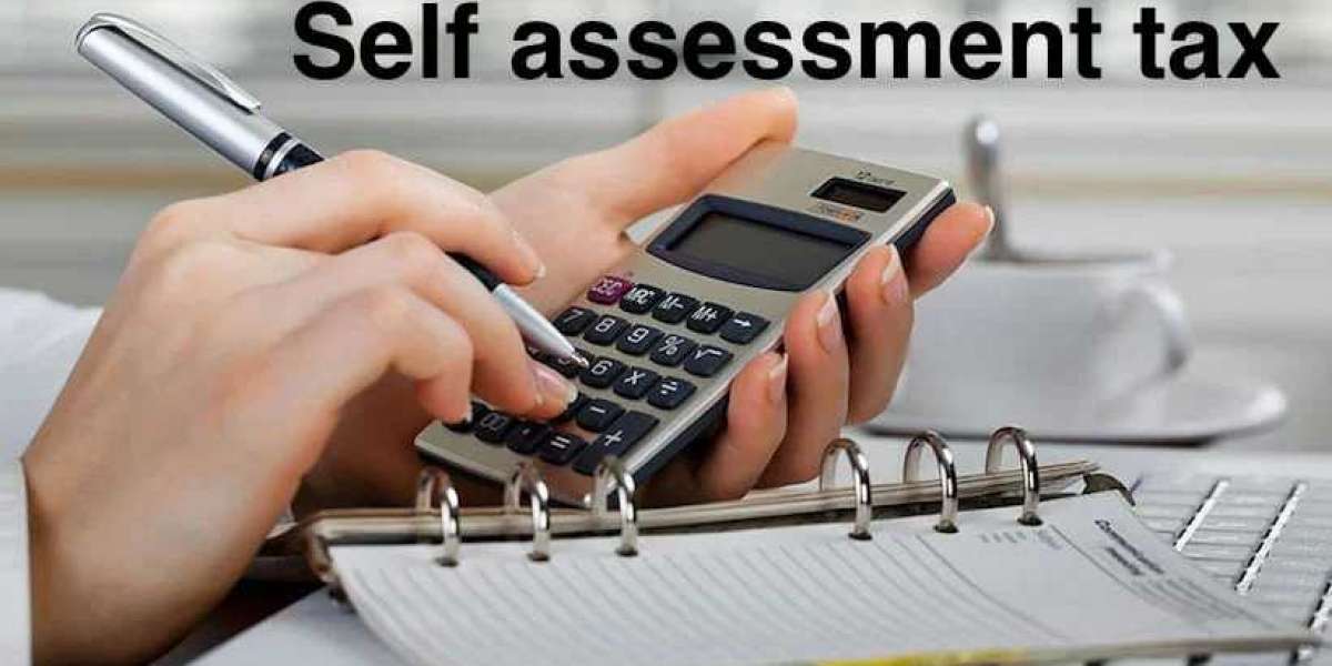 Self-Assessment Tax: Paying Self-Assessment Tax via Online