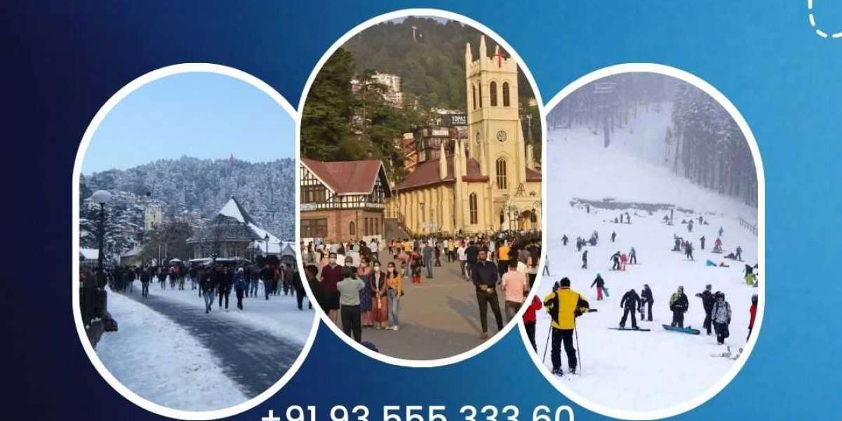 A Shimla package tour from delhi is a great option