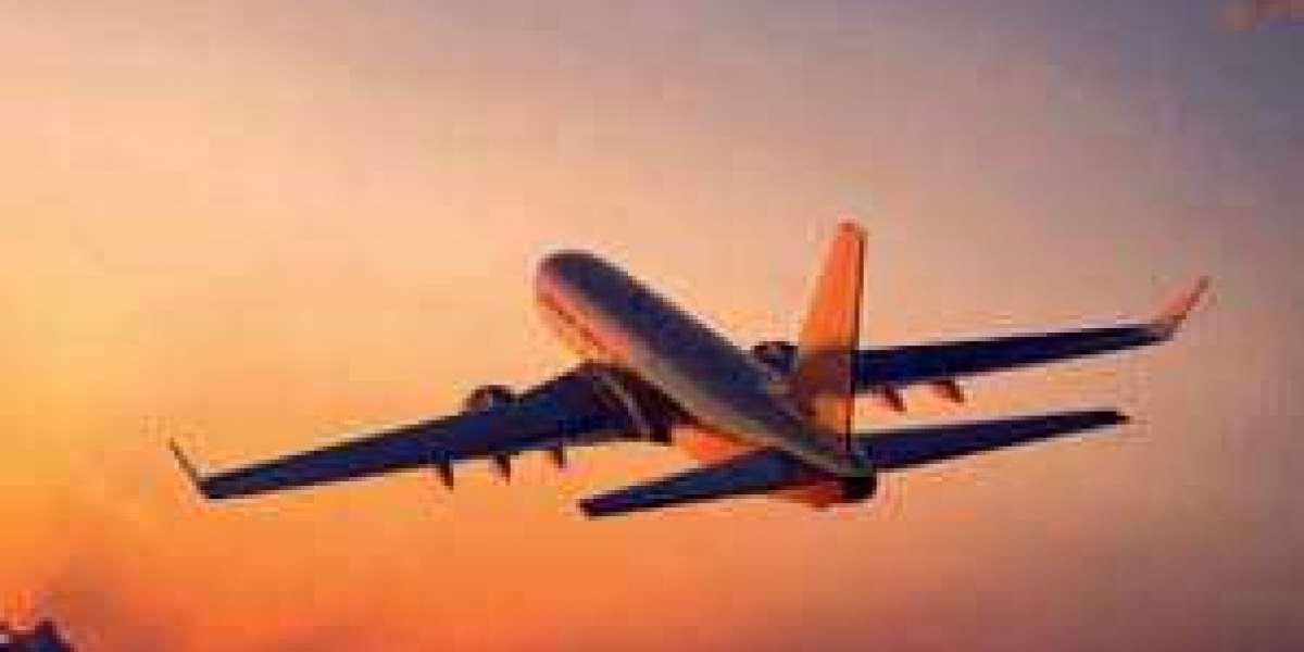 Spirit Airlines Unaccompanied Minor: A Comprehensive Guide