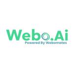 webo.ai - ai testing platfrom Profile Picture