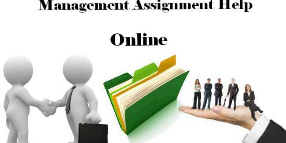 Management Assignment Help Online