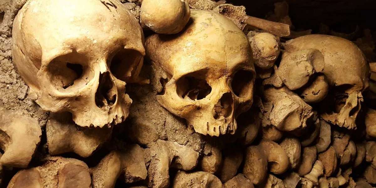Catacombs In Popular Culture: Their Influence On Books, Films And Art