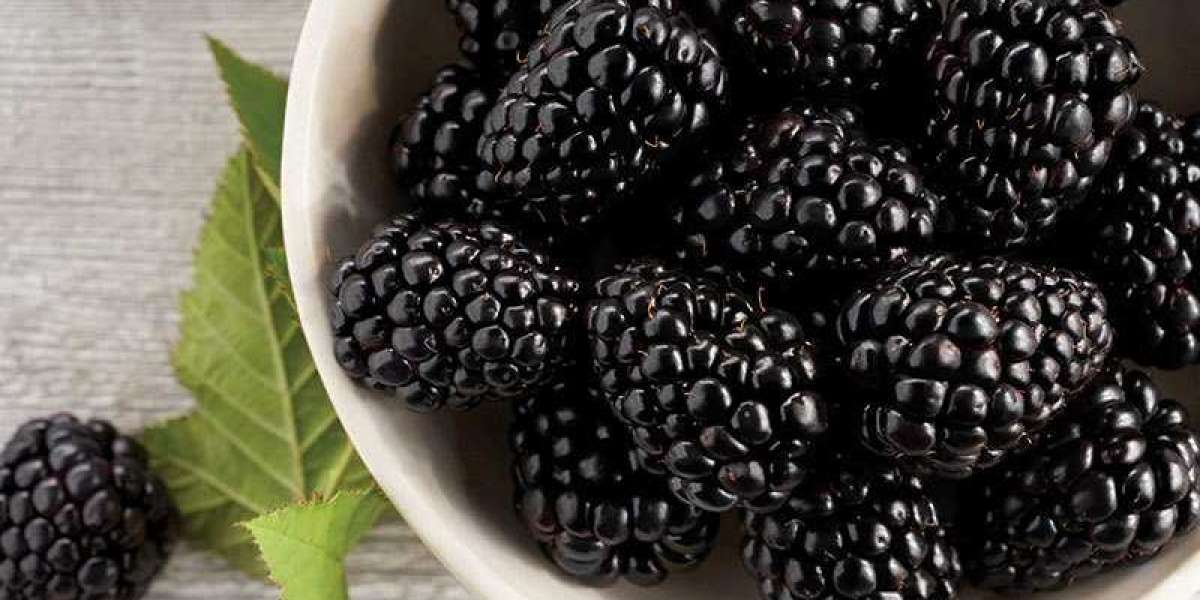 Berries Food Can Help Treatment Erectile Dysfunction?