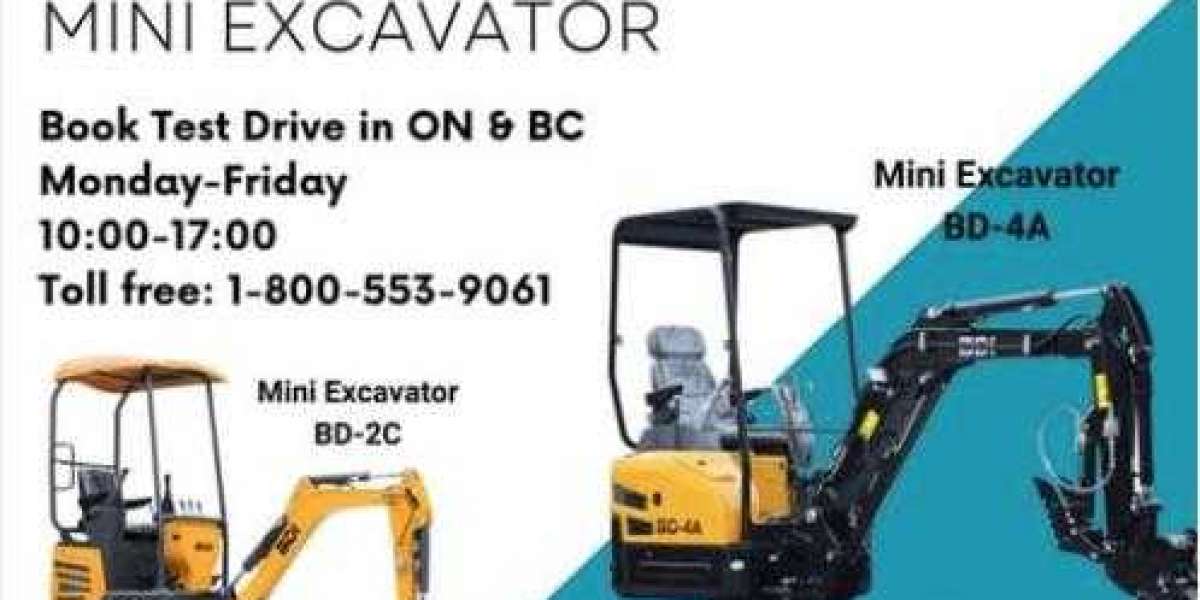Unlocking Power and Affordability: The Giant Mini Skid Steer and Used Small Excavator