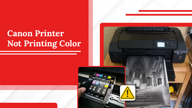 Why Is My Canon Printer Not Printing Color? How Do I Fix It? - Canon Printer Support