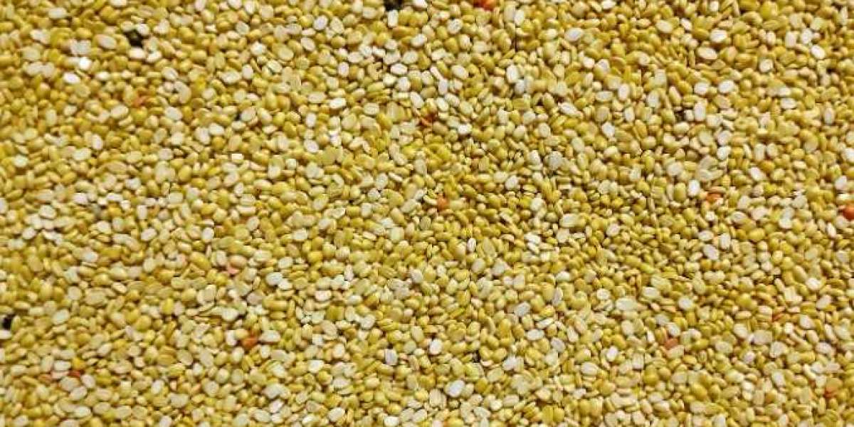 The Global Rise of Millet: Trends and Market Growth