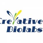 Creative Biolabs Profile Picture