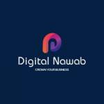 Digital Nawab Profile Picture