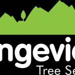 Rangeview Tree Profile Picture