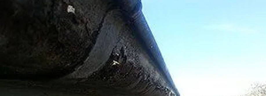 Gutter Cleaning Sydney Cover Image