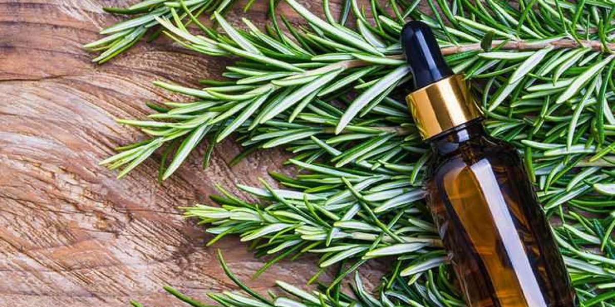 The Power of Aromatherapy: Rosemary Oil for Hair and Stress Relief