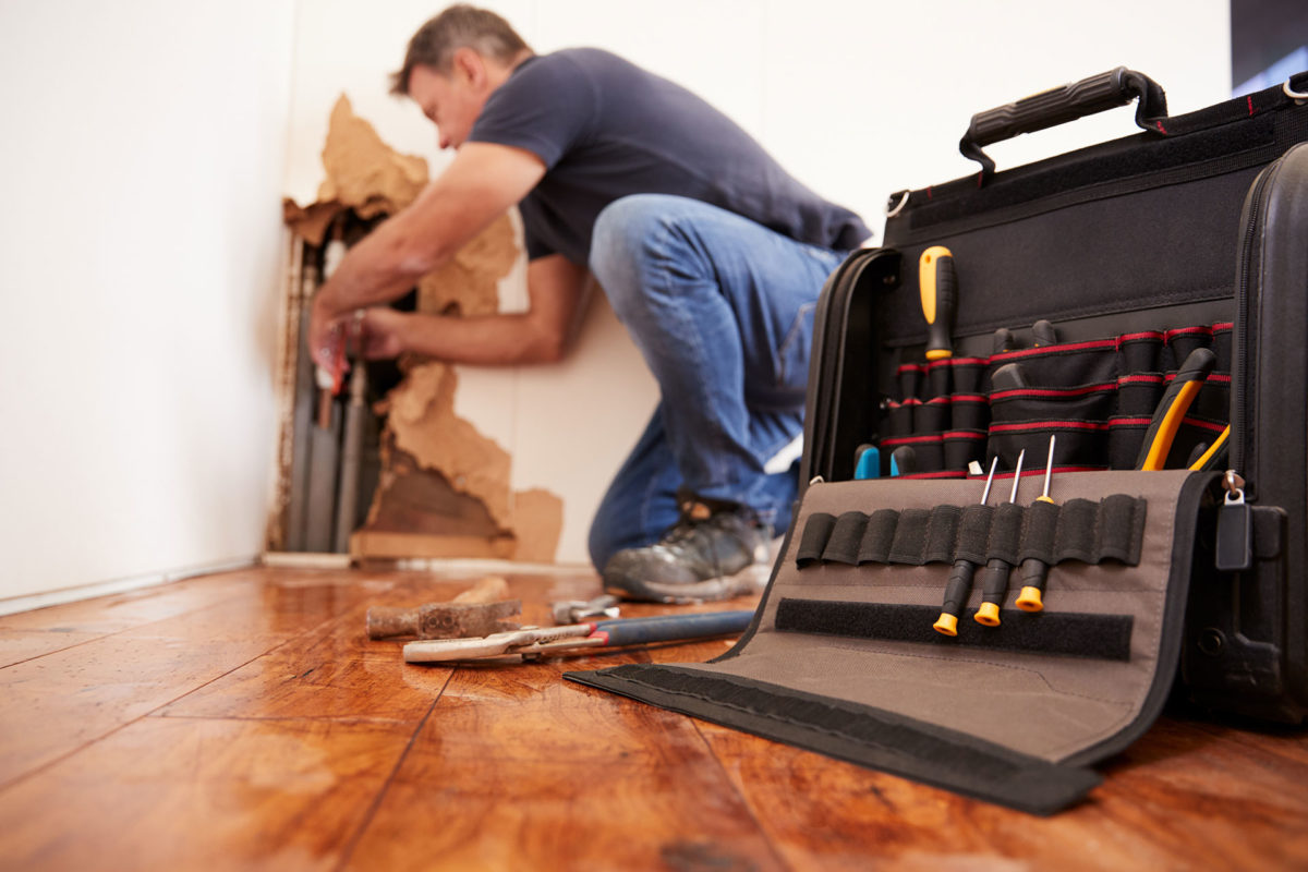 Professional vs. DIY Water Damage Repair: Why Professionals Are Better