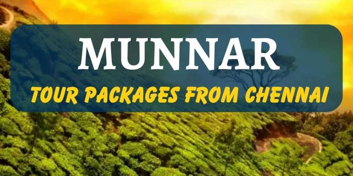 Tranquil Getaways: Munnar tour packages from Chennai by Lock Your Trip