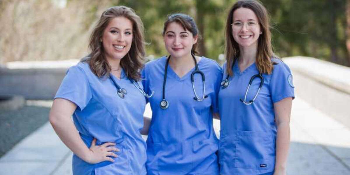 Best Nursing Dissertation Writing Services In USA