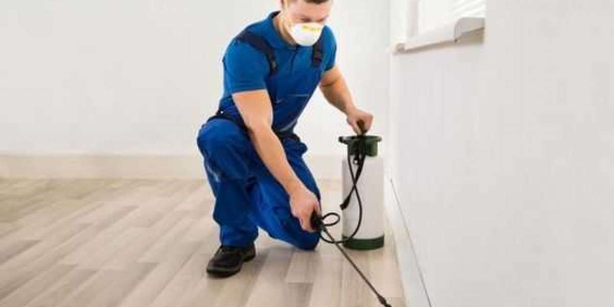 Get Affordable Pest Control Services in Dubai