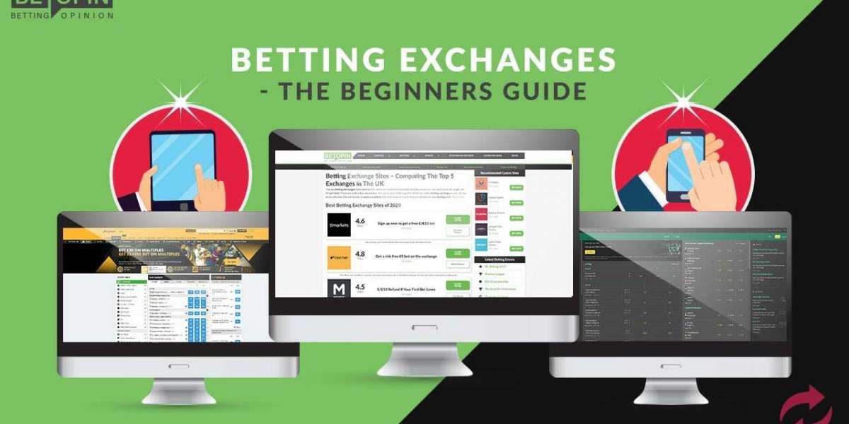 The Betting Exchanges: Mastering Strategies for Betting Success