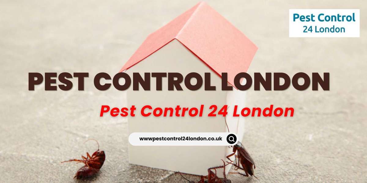 Bite Back: London's Top Pest Control Experts, Available 24/7
