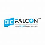 bigfalcon Profile Picture