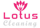 Steam Carpet Cleaning Brighton | Stain Removal Services