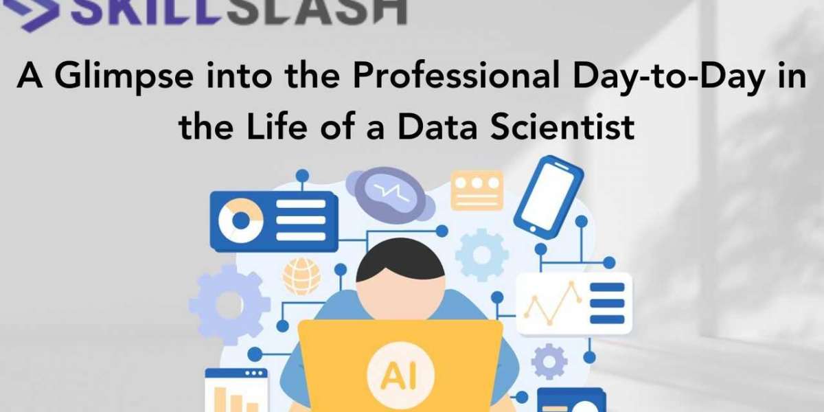 A Glimpse into the Professional Day-to-Day in the Life of a Data Scientist
