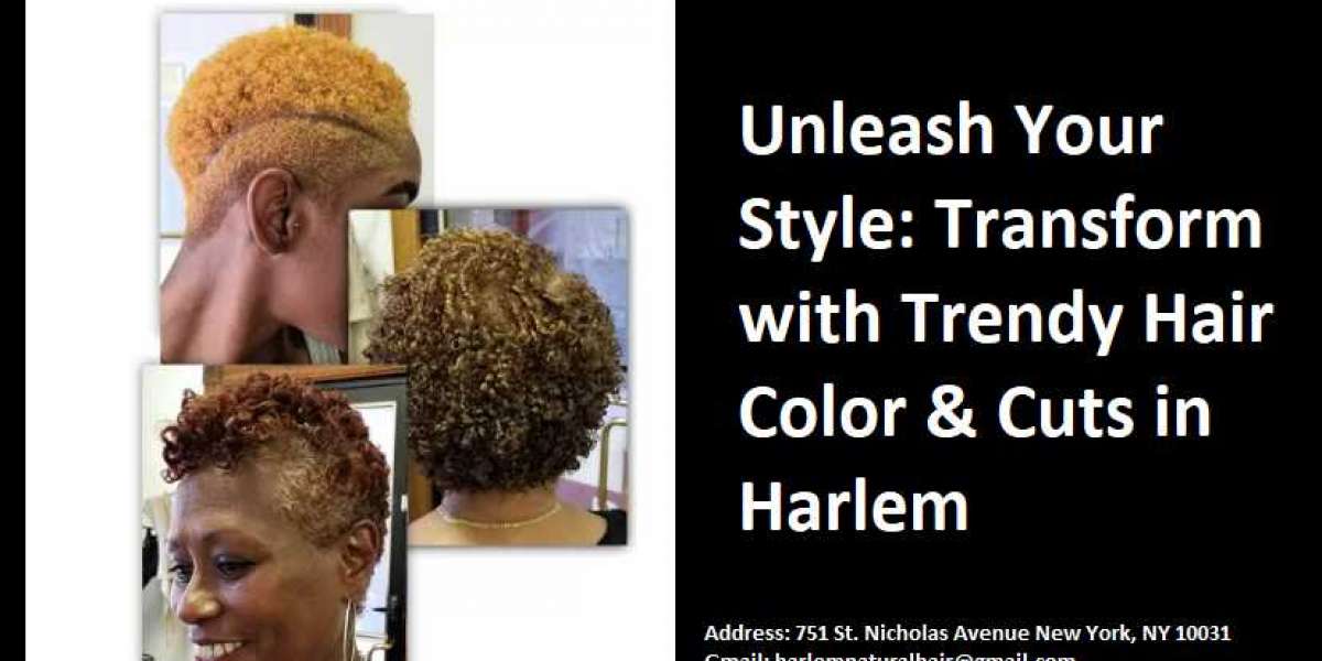 Hair Color Near Harlem NYC: Experience and Expertise at Harlem Natural Hair