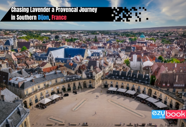 Chasing Lavender a Provencal Journey in Southern Dijon, France - Ezybook | Blog