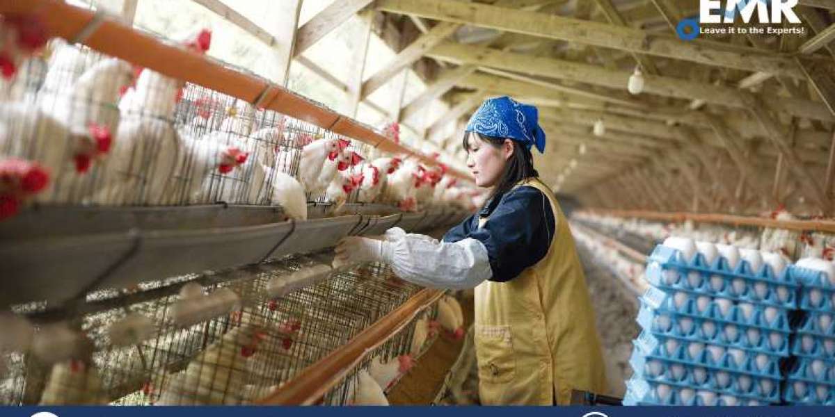 Navigating Growth and Challenges: Dynamics of the Thriving India Poultry Market
