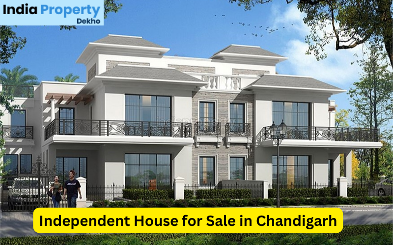 Independent House for Sale in Chandigarh | by Akashbharti Seo | Jan, 2024 | Medium