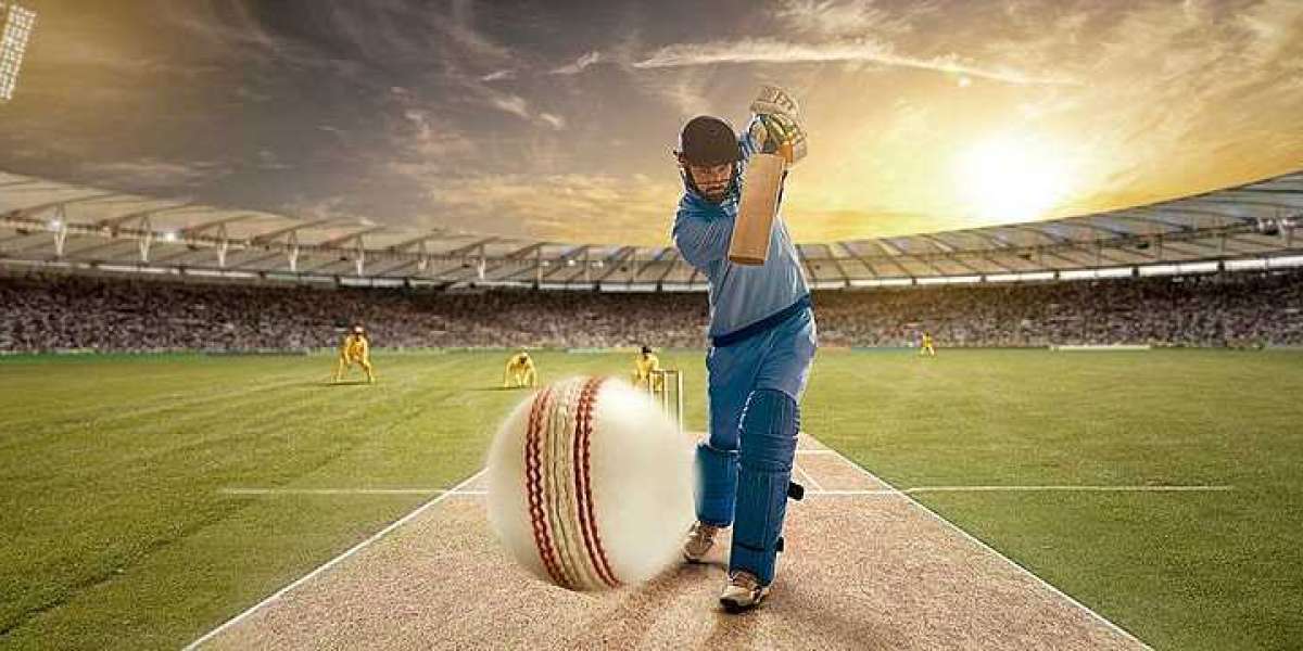 Reddy Anna: A Cricket Legend and the Driving Force Behind the 2023 T-20 Cricket Championship