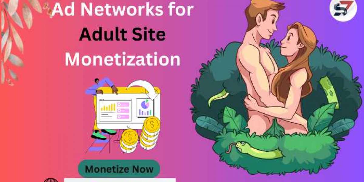Adventures in Revenue: Exploring Ad Networks for Adult Site Monetization
