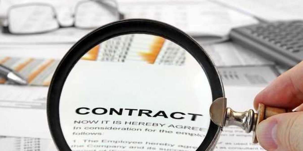 Decoding Employment Contracts: Essential Insights and Best Practices