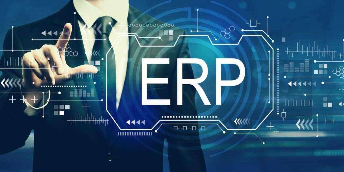 ERP Turnaround Services