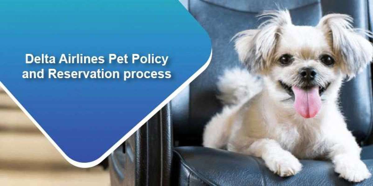 +1–888–906–0667 Understanding Delta Airlines Pet Policy