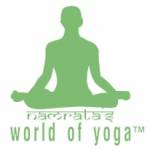 Yoga Goa Profile Picture
