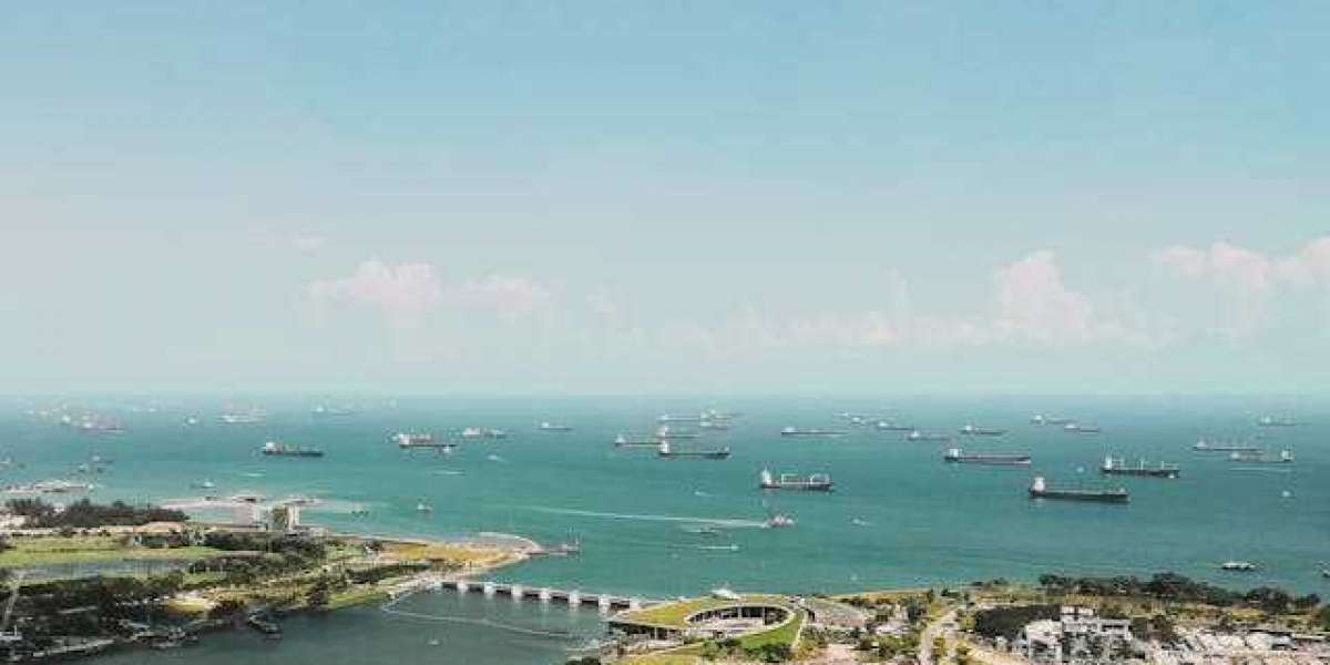 Unlocking Singapore's Splendors: Embark on Seamless Adventures with Singapore Tour Packages from Kochi