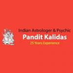Pandit Kalidas Profile Picture