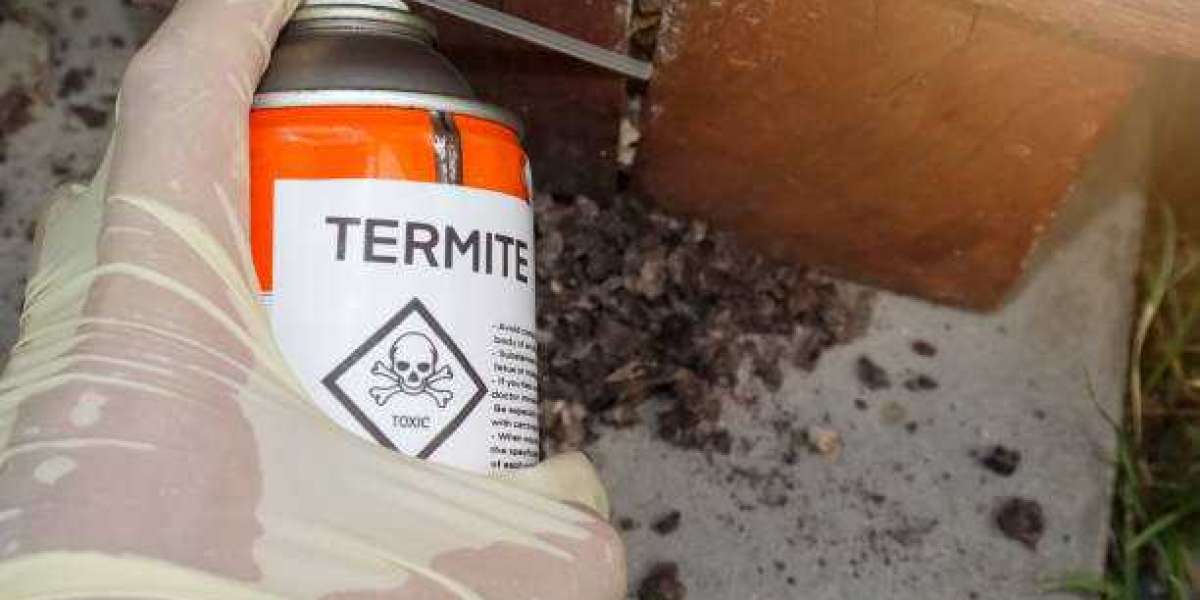 The Importance of Timely Pest Control Maintenance in Dhaka