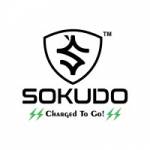 Sokudo Electric India Private Limited Profile Picture