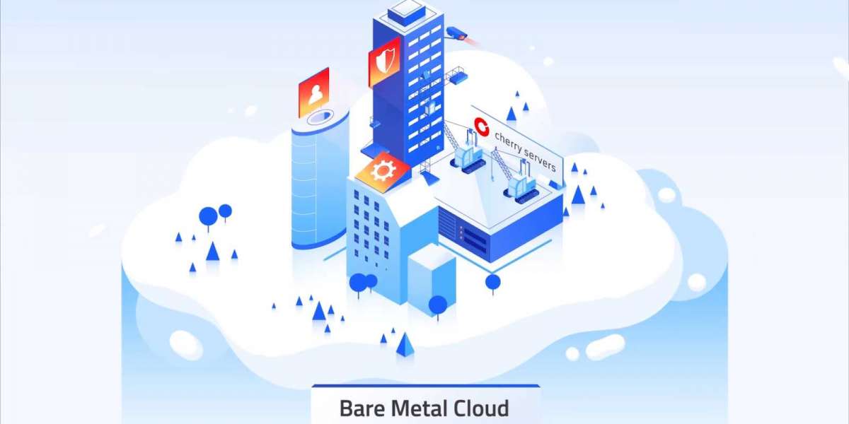 Bare Metal Cloud Market Trends and Growth Forecast by 2030